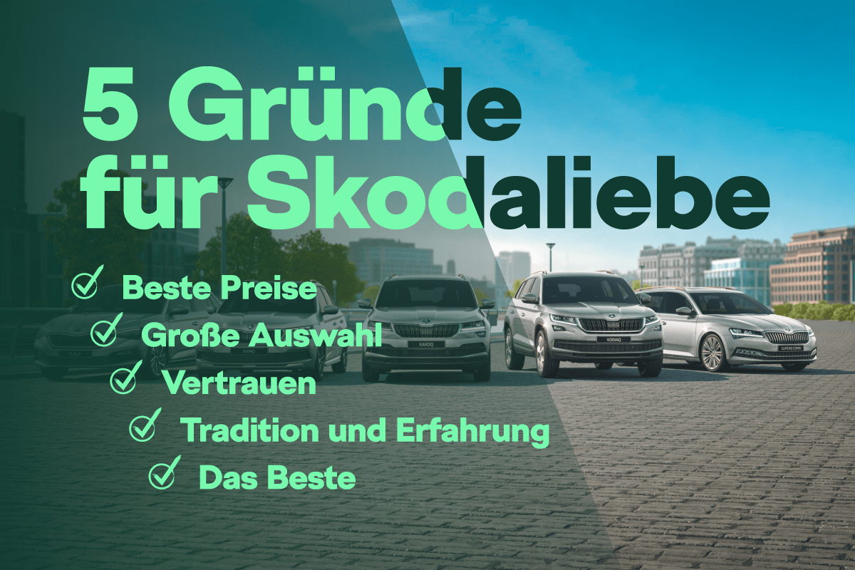 5 Gründe für Škodaliebe.de