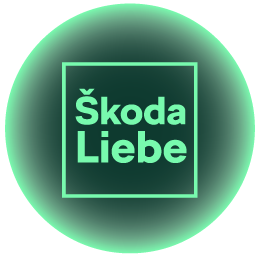 Niklas Scheffler, Verkaufsberater