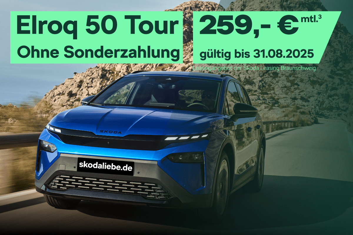 www.skodaliebe.de