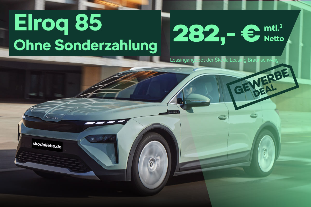 Elroq 85 - 100% Elekrisch