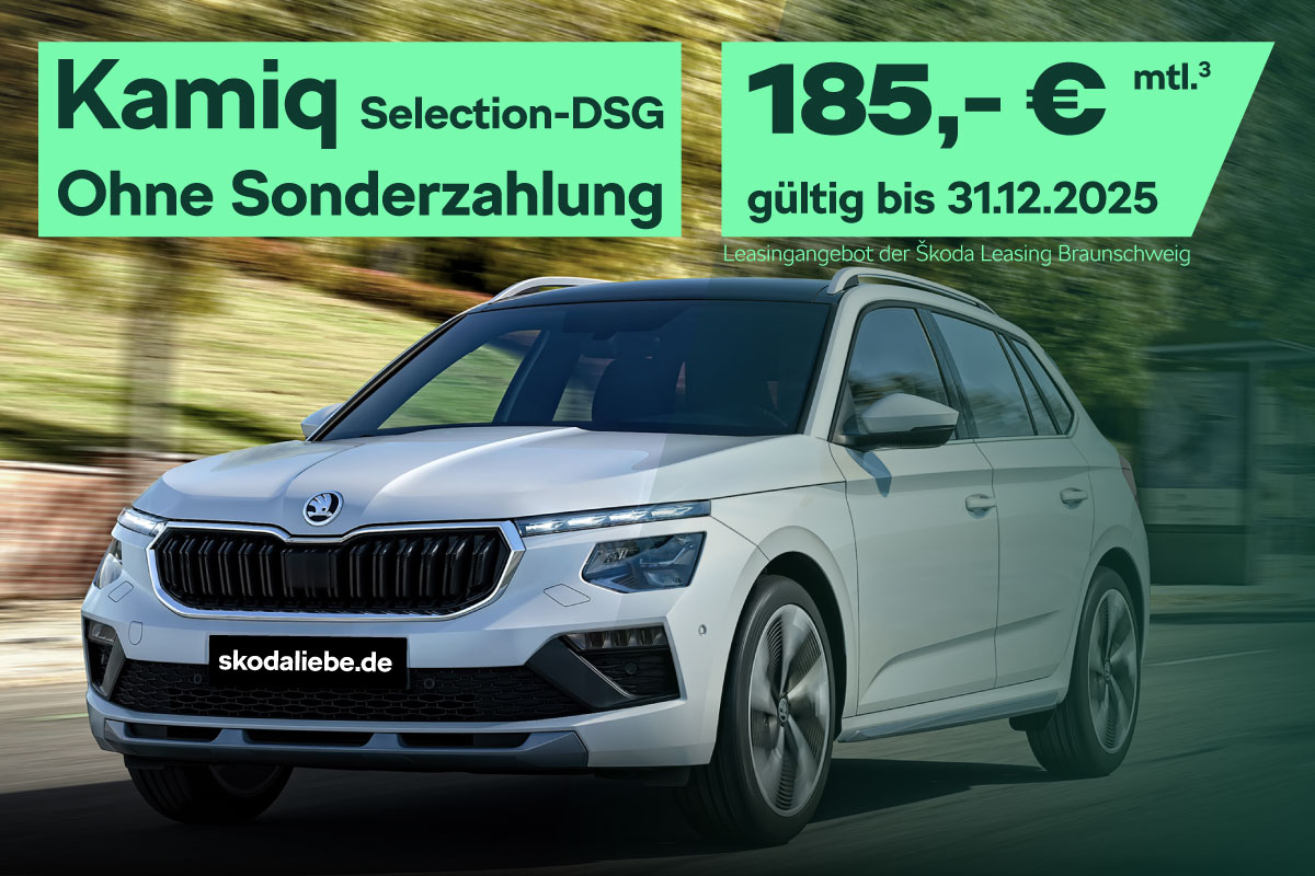 Škoda Kamiq Selection