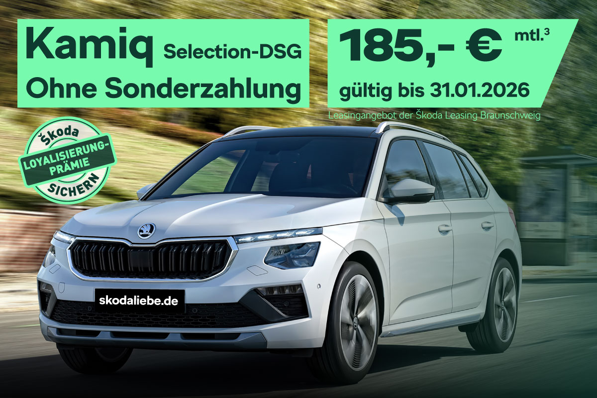 Škoda Kamiq Selection