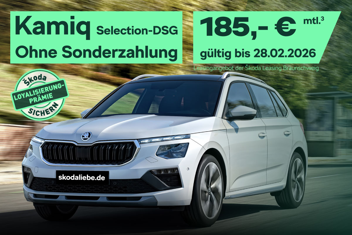 Škoda Kamiq Selection