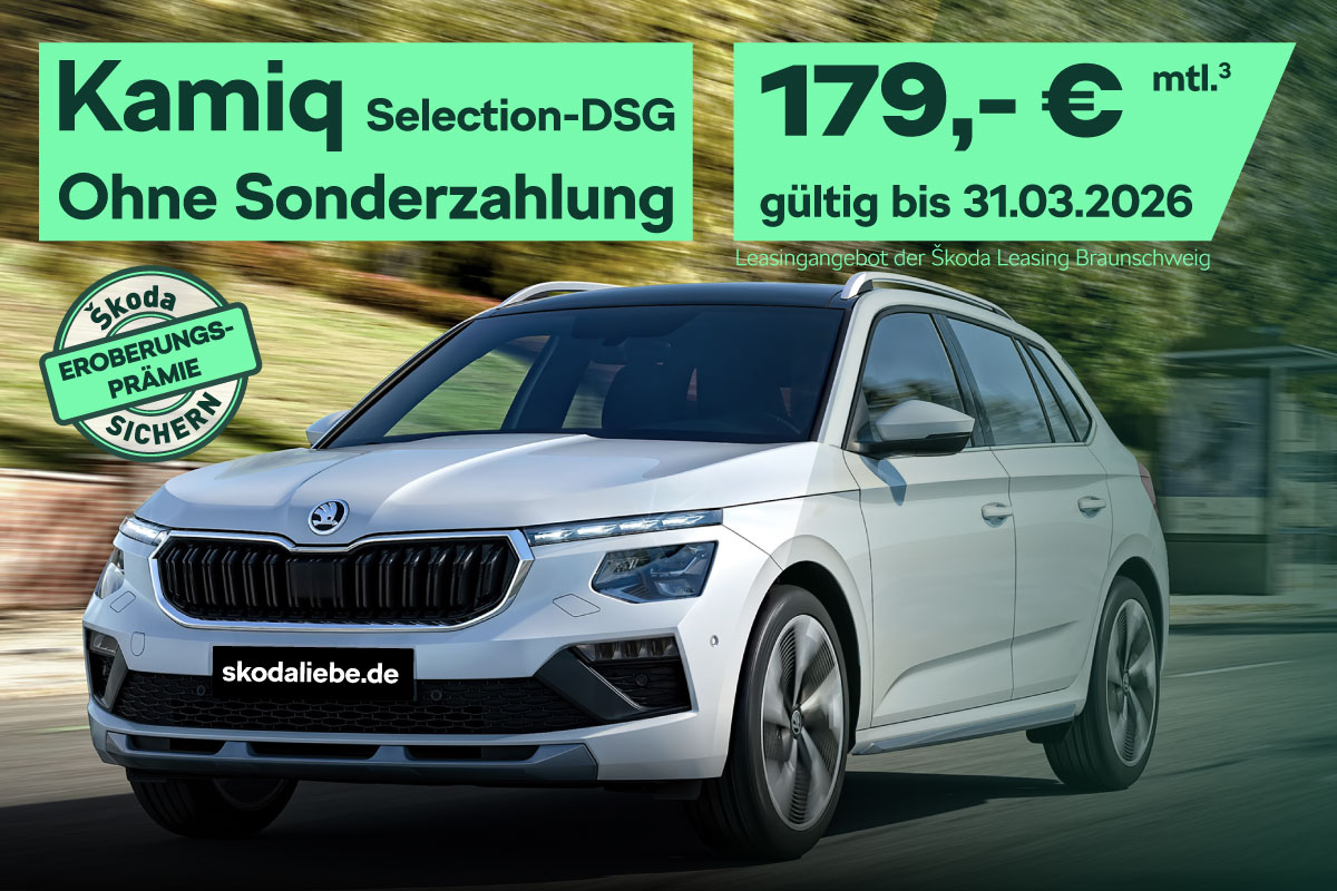 Škoda Kamiq Selection