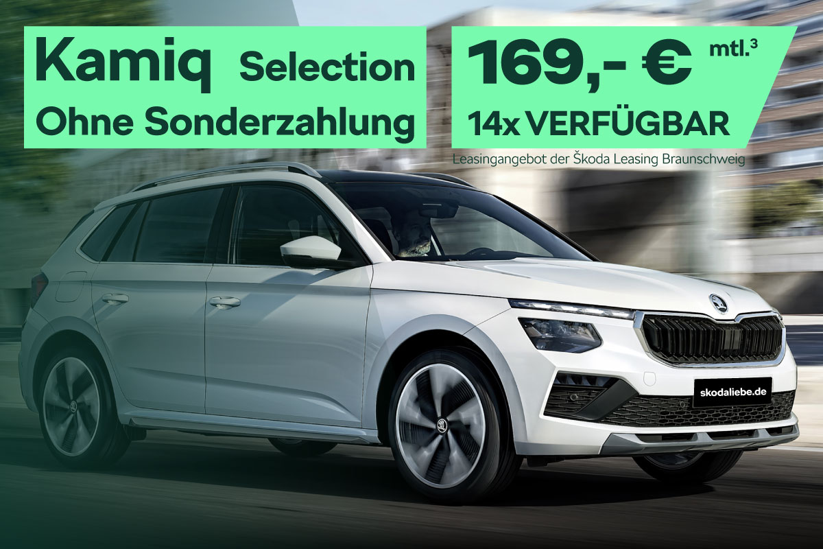 Škoda Kamiq Selection