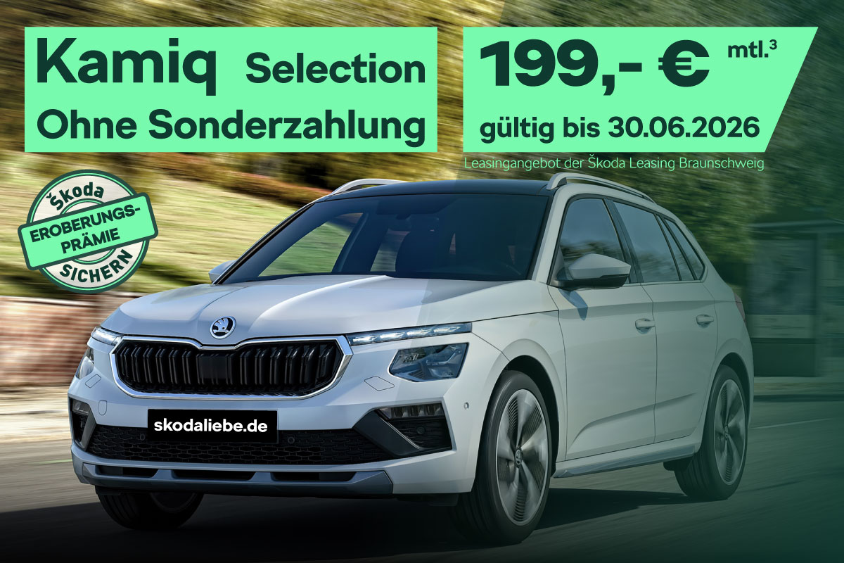 Škoda Kamiq Selection