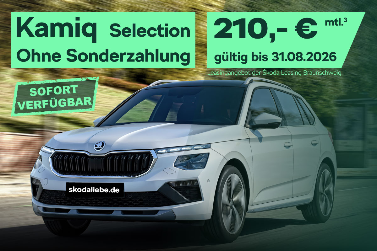 Škoda Kamiq Selection