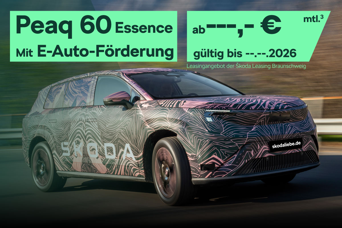Škoda Peaq 60 - 100% Elektrisch