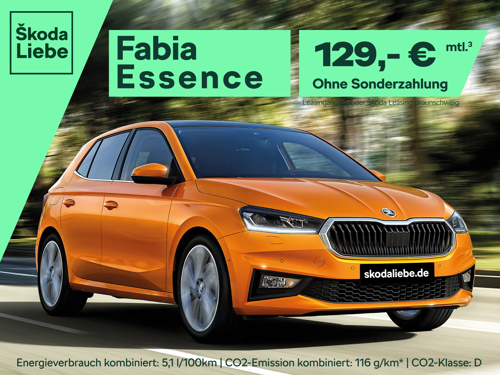 Das Bild zeigt ein Skoda Fahrzeug