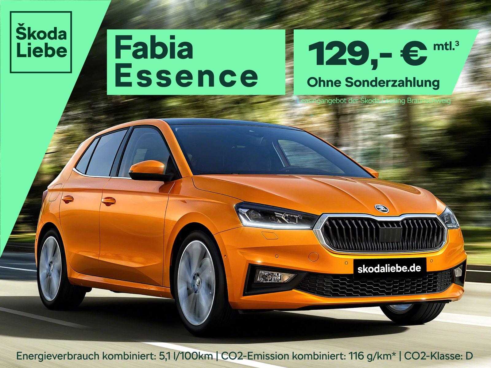 Das Bild zeigt ein Skoda Fahrzeug