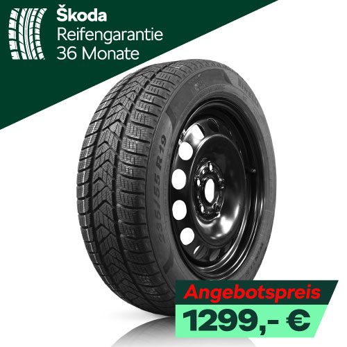 Winerräder Skoda Elroq Stahl