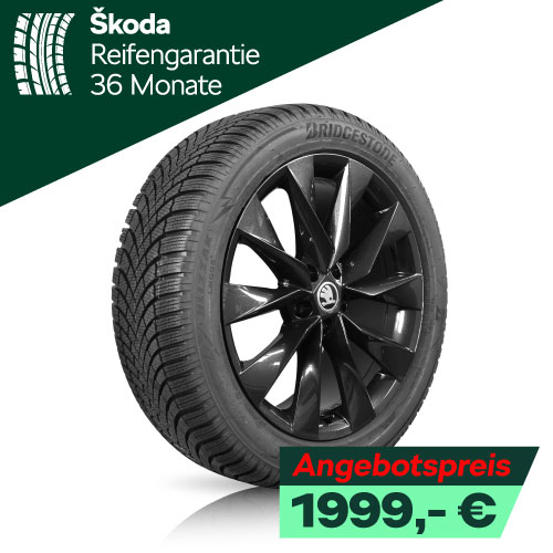 Winerräder Skoda Elroq Alu