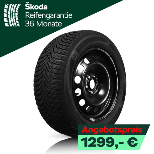 Winerräder Skoda Elroq Stahl