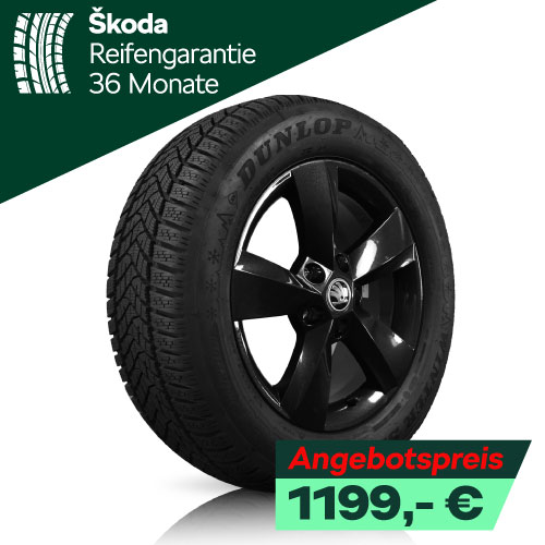 Skoda Karoq Winterreifen
