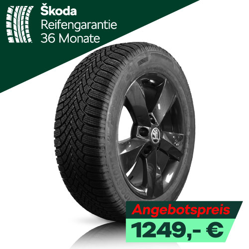 Skoda Karoq Winterreifen
