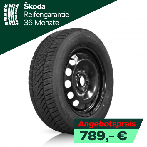 Winerräder Skoda Karoq Stahl