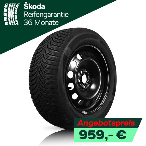 Winerräder Skoda Kodiaq Stahl