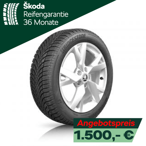 Škoda Original Winterreifen und Felgen