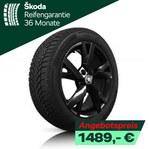 Winerräder Skoda Octavia Stahl