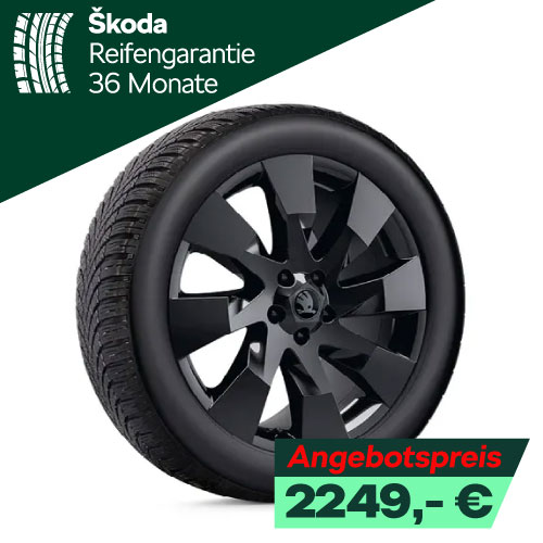 Winerräder Skoda Peaq Alu