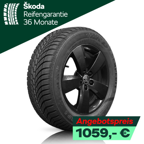 Skoda Kamiq/Scala Winterreifen