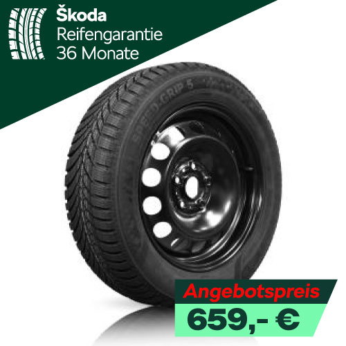 Skoda Kamiq/Scala Winterreifen