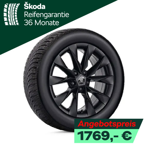 Winterräder Skoda Superb Alu